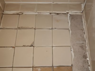 Before tile repair - damaged tile